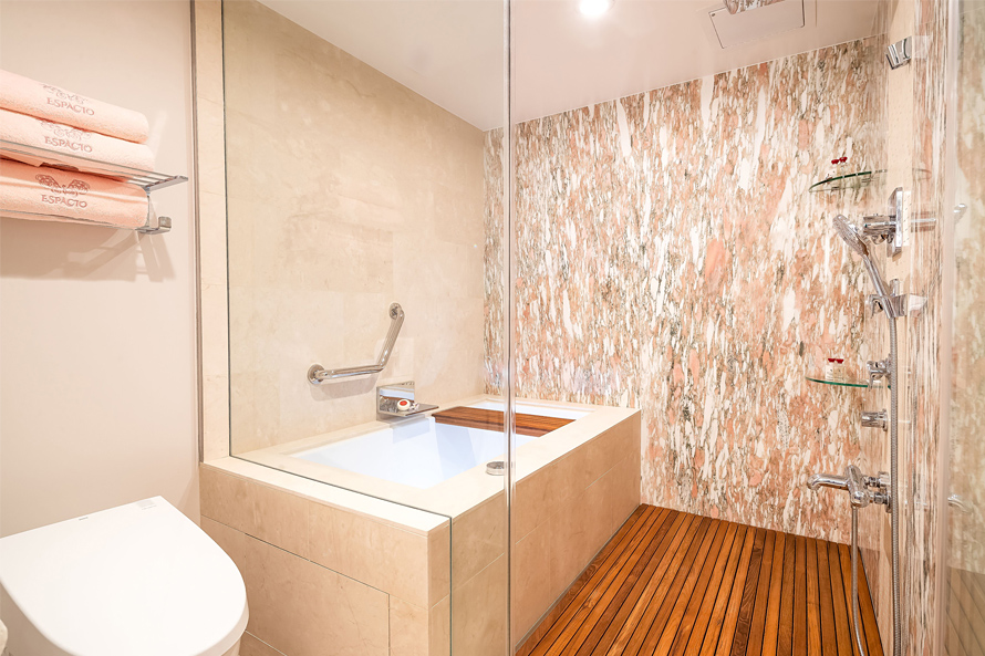 Master bedroom deep soaking tub and shower.
